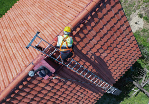 Best Roof Ventilation Installation  in Neshanic Station, NJ