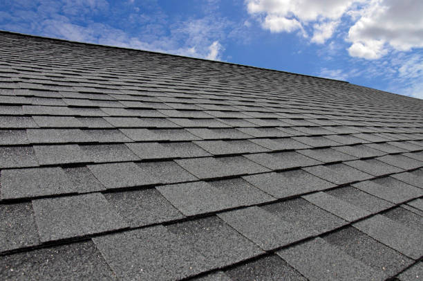 Best Roof Leak Repair  in Neshanic Station, NJ